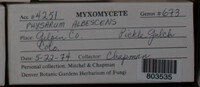 Image Associated With the Occurence